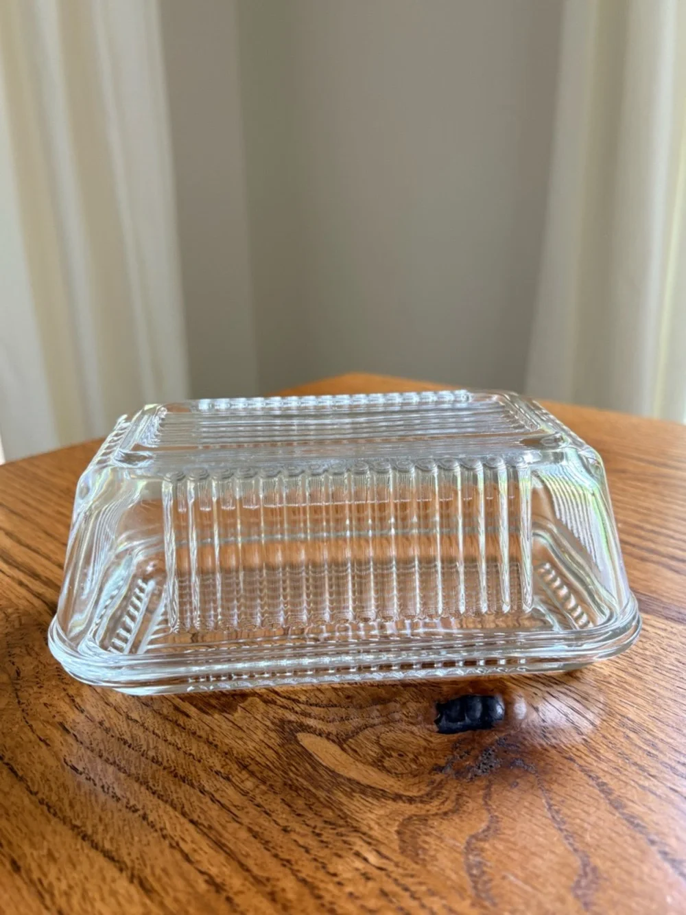 Vintage Pasabache Glass Dish with Lid Refrigerator Container Ribbed Clear